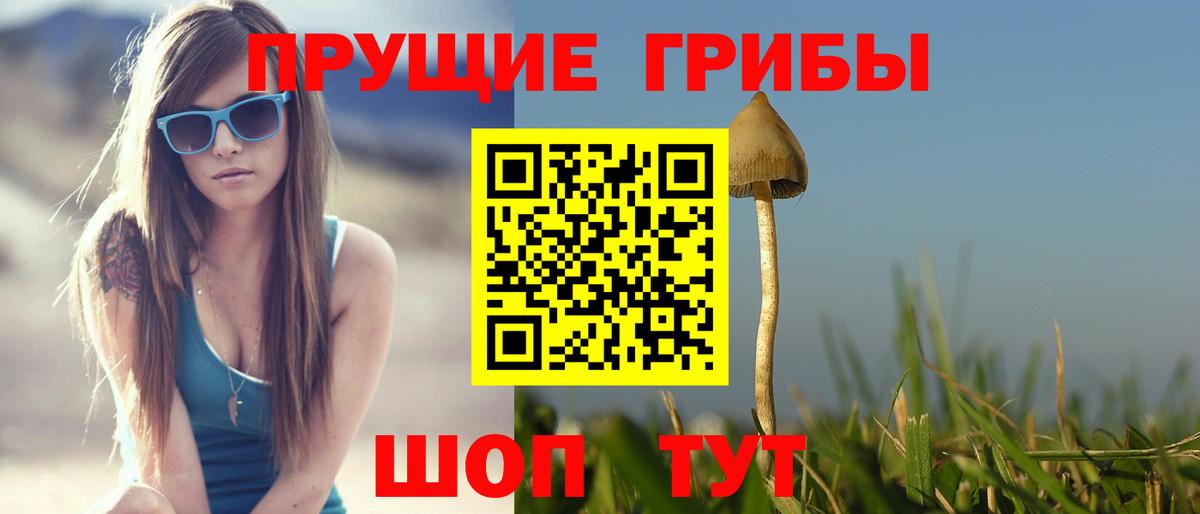 Кувандык  Псилоцибиновые грибы GOLDEN TEACHER  Вход с VPN 